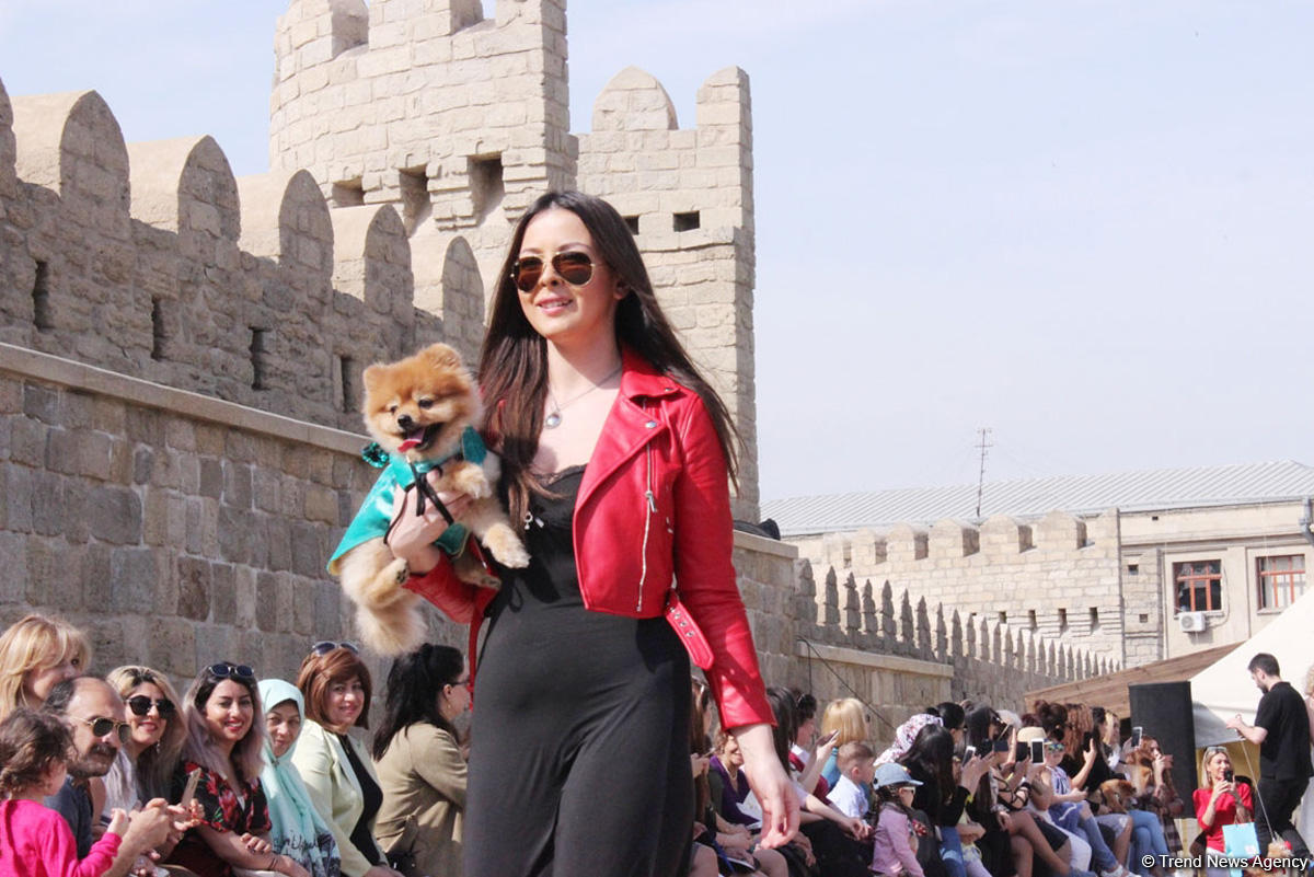 Уникальная коллекция для домашних питомцев Pet Fashion Show by NELYA  представлена в Баку (ФОТО)