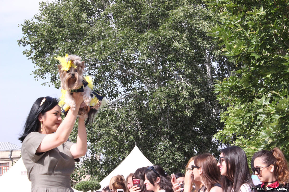 Уникальная коллекция для домашних питомцев Pet Fashion Show by NELYA  представлена в Баку (ФОТО)