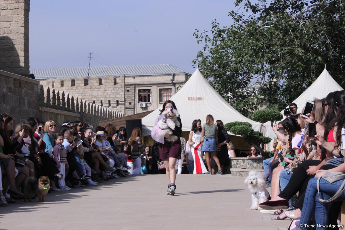 Уникальная коллекция для домашних питомцев Pet Fashion Show by NELYA  представлена в Баку (ФОТО)