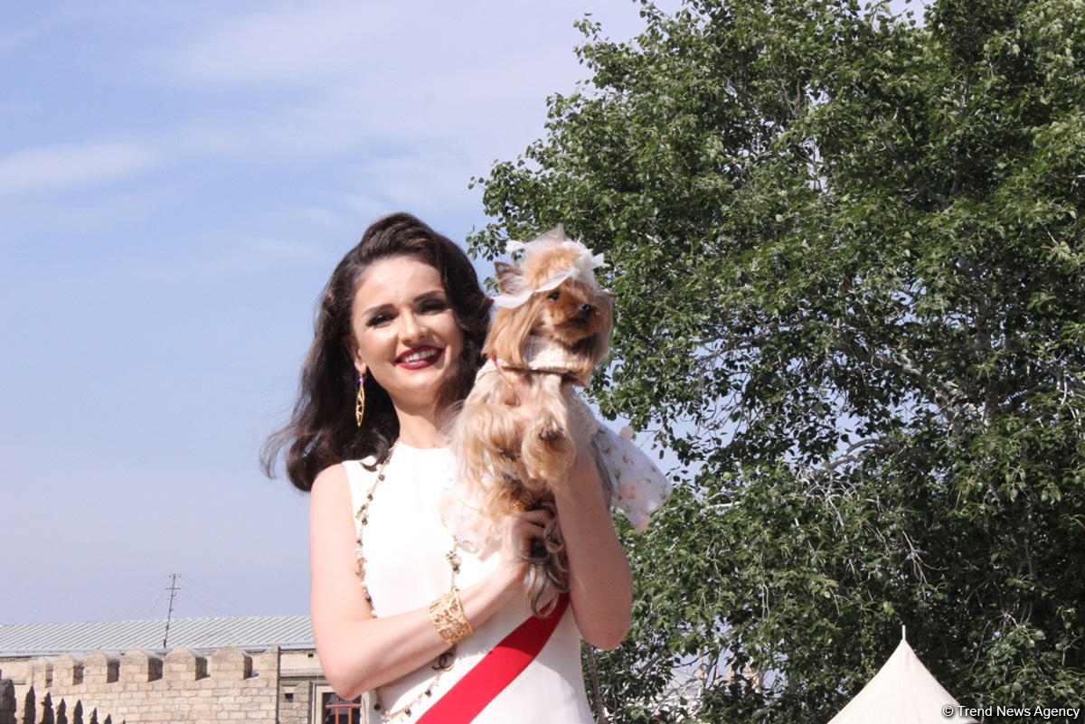 Уникальная коллекция для домашних питомцев Pet Fashion Show by NELYA  представлена в Баку (ФОТО)