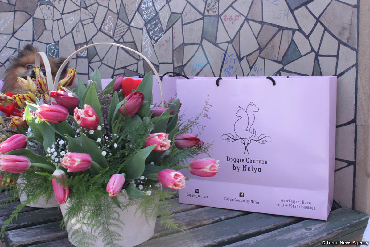 Уникальная коллекция для домашних питомцев Pet Fashion Show by NELYA  представлена в Баку (ФОТО)