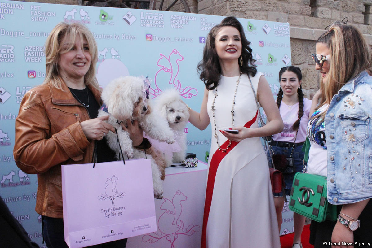 Уникальная коллекция для домашних питомцев Pet Fashion Show by NELYA  представлена в Баку (ФОТО)