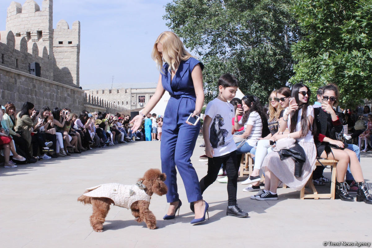 Уникальная коллекция для домашних питомцев Pet Fashion Show by NELYA  представлена в Баку (ФОТО)