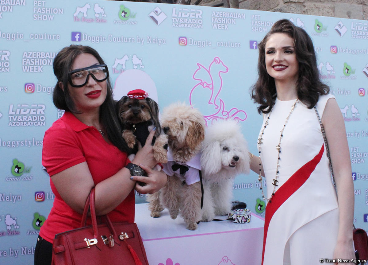 Уникальная коллекция для домашних питомцев Pet Fashion Show by NELYA  представлена в Баку (ФОТО)