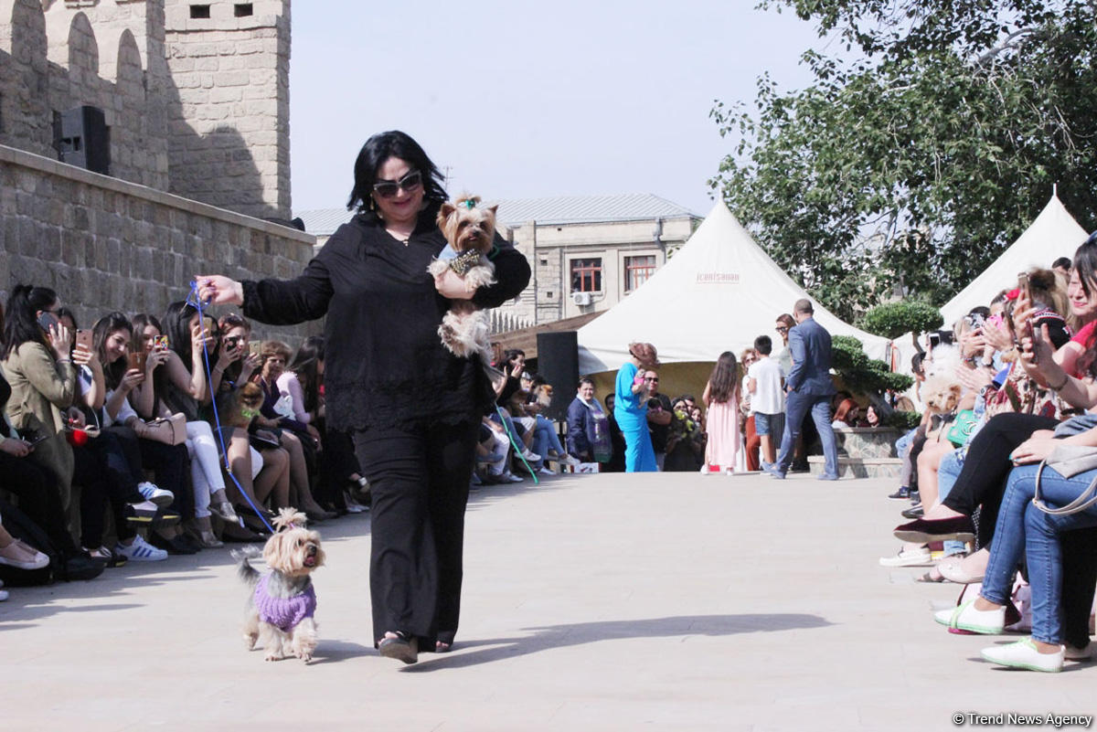 Уникальная коллекция для домашних питомцев Pet Fashion Show by NELYA  представлена в Баку (ФОТО)