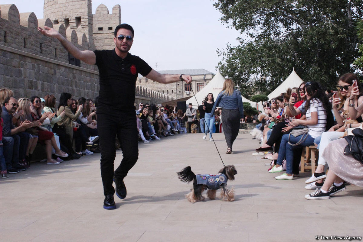 Уникальная коллекция для домашних питомцев Pet Fashion Show by NELYA  представлена в Баку (ФОТО)