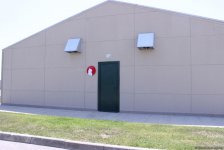 IDEA подарила детям радость дружбы с животными (ФОТО)