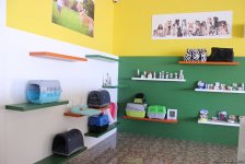IDEA подарила детям радость дружбы с животными (ФОТО)