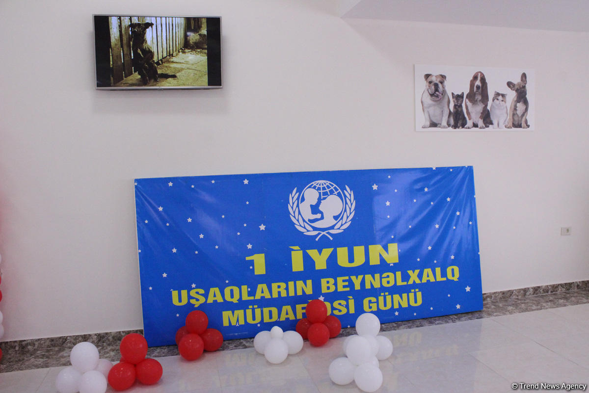 IDEA подарила детям радость дружбы с животными (ФОТО)
