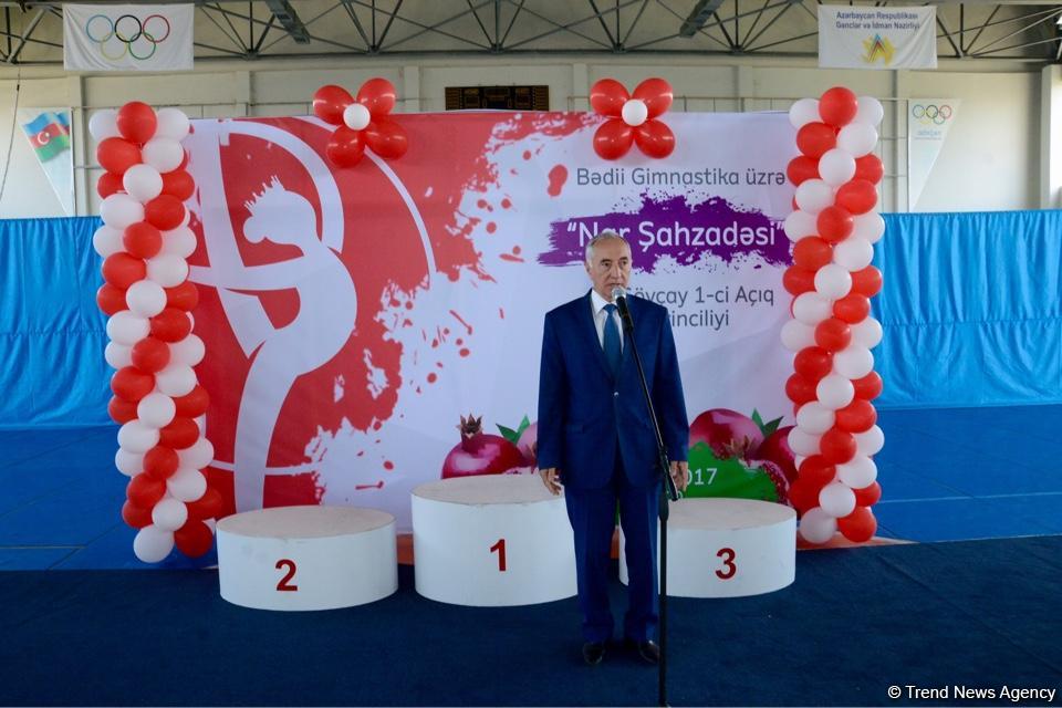 Goychay Open Championship in Rhythmic Gymnastics underway (PHOTO)