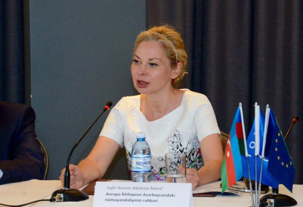 Mard: Not rapid, but good result crucial in EU-Azerbaijan talks