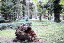 Великое произведение Творца в Азербайджане – путешествие в Город сокровищ (ФОТО)
