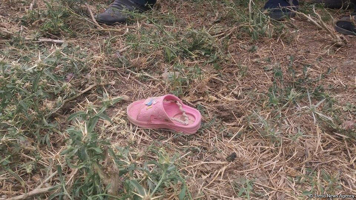 Foreign media reps view Armenia-shelled Azerbaijani village (PHOTO)