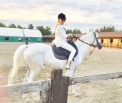 Азербайджанские звезды и скакуны – Карабах, Губа, Ширван, Газах... (ФОТО)