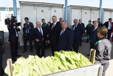 Президент Ильхам Алиев ознакомился с условиями, созданными в пункте приема табака в Гахе (ФОТО)