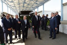 Президент Ильхам Алиев ознакомился с условиями, созданными в пункте приема табака в Гахе (ФОТО)