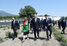 Президент Ильхам Алиев ознакомился с предприятием по производству розового масла в Загатале (ОБНОВЛЕНО) (ФОТО)