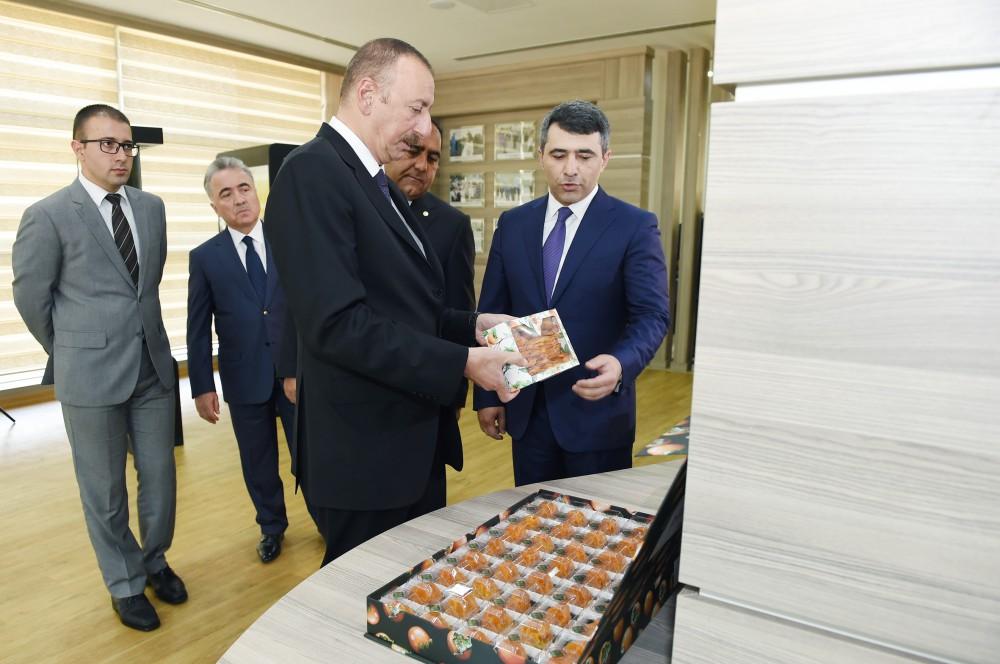 Ilham Aliyev inaugurates ABAD Center in Balakan (PHOTO)
