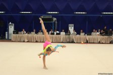 В Баку стартовал XXIV Открытый чемпионат Азербайджана по художественной гимнастике (ФОТО)