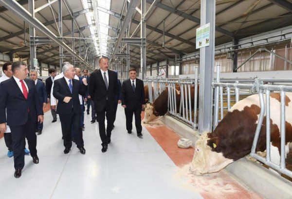 President Aliyev inaugurates Republican Artificial Insemination Center (PHOTO)