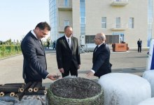 Президент Ильхам Алиев ознакомился с Самухским агроэнергетическим жилым комплексом (ФОТО)