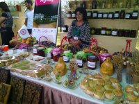 В Габале открылся Международный фестиваль варенья (ФОТО)