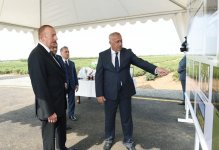 Президент Ильхам Алиев осмотрел чайные плантации ООО «Астара Чай» в Лянкяране (ФОТО)