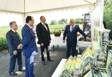 Президент Ильхам Алиев ознакомился с плантацией «Yaşıl çay» в Лянкяране (ФОТО)