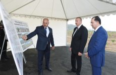 Президент Ильхам Алиев ознакомился с цитрусовыми садами в Лянкяране (ФОТО)