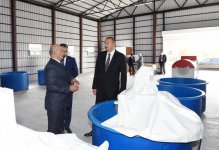 Президент Ильхам Алиев посмотрел рисовые участки ООО «Джануб-Агро» и открыл рисовый завод в Лянкяране (ФОТО)