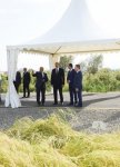 Президент Ильхам Алиев посмотрел рисовые участки ООО «Джануб-Агро» и открыл рисовый завод в Лянкяране (ФОТО)