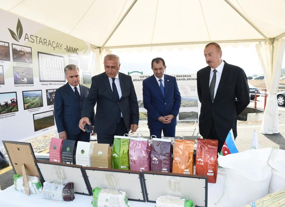Президент Ильхам Алиев осмотрел чайные плантации ООО «Астара Чай» в Лянкяране (ФОТО)