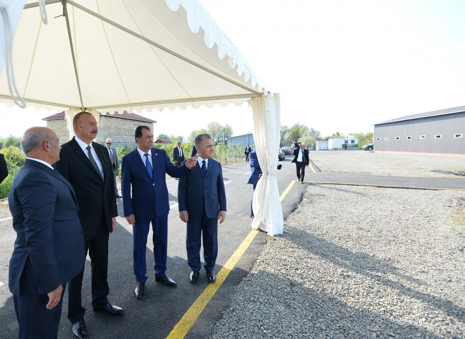 Президент Ильхам Алиев посмотрел рисовые участки ООО «Джануб-Агро» и открыл рисовый завод в Лянкяране (ФОТО)