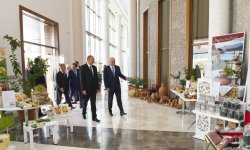 Под председательством Президента Ильхама Алиева состоялось республиканское совещание по вопросам развития производства чая, риса и цитрусовых (ФОТО)