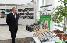 Под председательством Президента Ильхама Алиева состоялось республиканское совещание по вопросам развития производства чая, риса и цитрусовых (ФОТО)