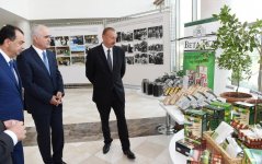 Под председательством Президента Ильхама Алиева состоялось республиканское совещание по вопросам развития производства чая, риса и цитрусовых (ФОТО)