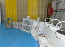 President Ilham Aliyev attends opening of Balakhani Industrial Park (PHOTO)