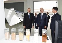 Azerbaijani president attends opening of Neftchala Industrial District (PHOTO)