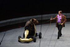 При поддержке Фонда Гейдара Алиева воспитанники детских домов посмотрели цирковую программу "Форсаж шоу" (ФОТО)