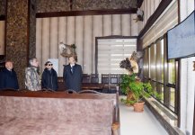 Azerbaijani president, first lady view Safari Park Shamakhi (PHOTO)
