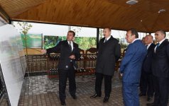 Президент Ильхам Алиев ознакомился с виноградными садами в Шамахы (ФОТО)