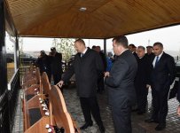 Президент Ильхам Алиев ознакомился с виноградными садами в Шамахы (ФОТО)
