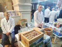 Увеличилось число участников ярмарки меда в Баку (ФОТО)
