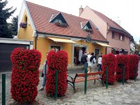 Венгерский Сентендре: В городе художников и марципанов (ФОТО)