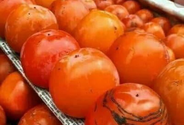 Persimmon crop yields in Azerbaijan meet forecast