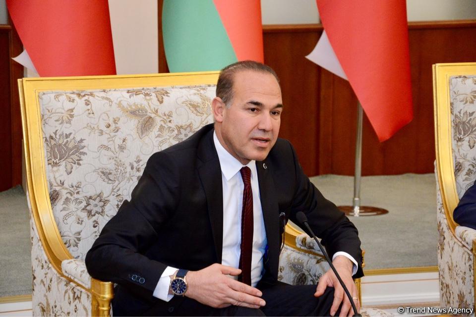 Али Гасанов: В результате усилий президентов Азербайджана и Турции связи между двумя странами поднялись на уровень стратегического союзничества (ФОТО)