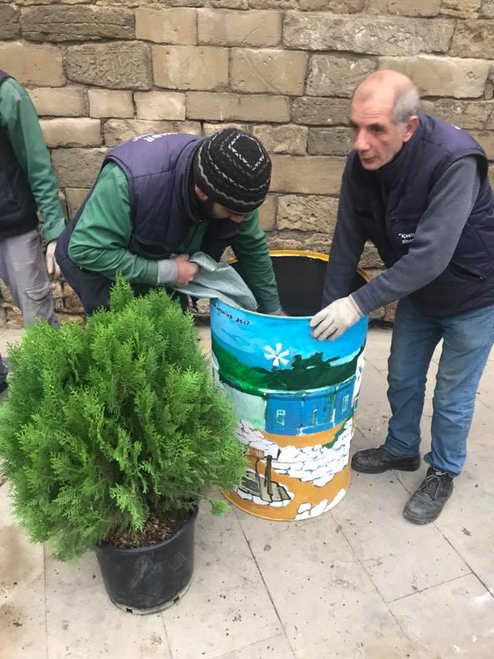 Деревья в расписанных металлических бочках - art-проект в Баку (ФОТО)