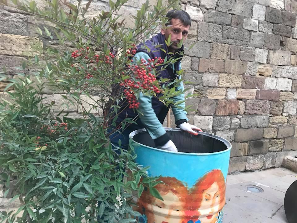 Деревья в расписанных металлических бочках - art-проект в Баку (ФОТО)