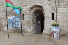 Деревья в расписанных металлических бочках - art-проект в Баку (ФОТО)