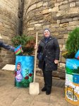 Деревья в расписанных металлических бочках - art-проект в Баку (ФОТО)